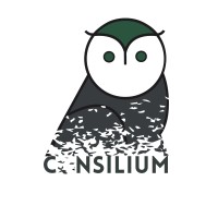 Consilium Solutions, LLC logo, Consilium Solutions, LLC contact details