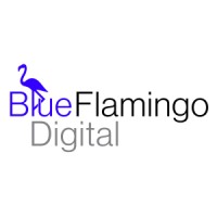 Blue Flamingo Digital logo, Blue Flamingo Digital contact details