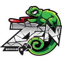 ZenGaming021NS logo, ZenGaming021NS contact details