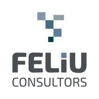 Feliu Consultors logo, Feliu Consultors contact details