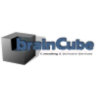 BrainCube Consulting & Software Services logo, BrainCube Consulting & Software Services contact details