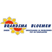 Bloemengroothandel Brandsma logo, Bloemengroothandel Brandsma contact details