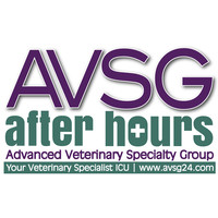 AVSG After Hours logo, AVSG After Hours contact details