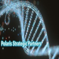 Polaris Strategic Partners, Inc. logo, Polaris Strategic Partners, Inc. contact details