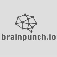 brainpunch.io logo, brainpunch.io contact details