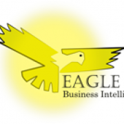 Eagle BI logo, Eagle BI contact details