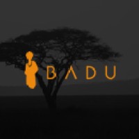 Badu Consultoria logo, Badu Consultoria contact details