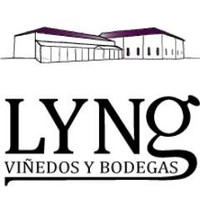 VIÑEDOS Y BODEGAS LYNG logo, VIÑEDOS Y BODEGAS LYNG contact details