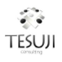 Tesuji Consulting logo, Tesuji Consulting contact details