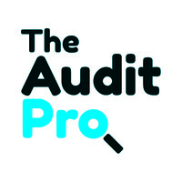 The Audit Pro logo, The Audit Pro contact details