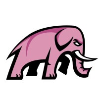 Pink Elephant Strategy logo, Pink Elephant Strategy contact details