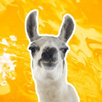 EPIC LLAMA logo, EPIC LLAMA contact details