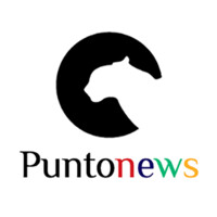 Puntonews.com logo, Puntonews.com contact details