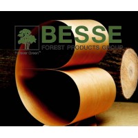 Besse Forest Products Group logo, Besse Forest Products Group contact details