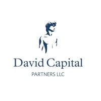 David Capital Partners, LLC logo, David Capital Partners, LLC contact details