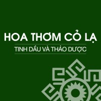 Hoa Thom Co La logo, Hoa Thom Co La contact details