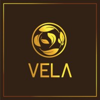 VELA Group logo, VELA Group contact details