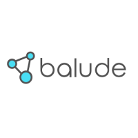 Balude B.V. logo, Balude B.V. contact details