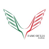 FAMO Bulls Academy logo, FAMO Bulls Academy contact details