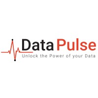 Data Pulse logo, Data Pulse contact details