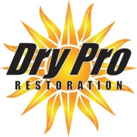 Dry Pro Restoration and Drain Cleaning, LLC logo, Dry Pro Restoration and Drain Cleaning, LLC contact details