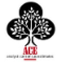 ACE Consensus Limited logo, ACE Consensus Limited contact details