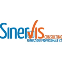 SinerVis Consulting srl logo, SinerVis Consulting srl contact details