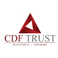 CDF Trust and Consulting BV logo, CDF Trust and Consulting BV contact details