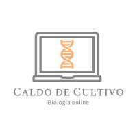 Caldo de Cultivo logo, Caldo de Cultivo contact details