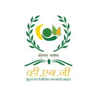 VNG Fruits and Vegetable Company logo, VNG Fruits and Vegetable Company contact details