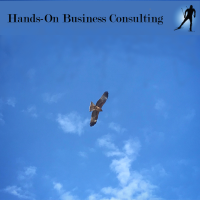 Hands-On Business Consulting logo, Hands-On Business Consulting contact details