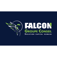 Falcon Groupe Conseil logo, Falcon Groupe Conseil contact details