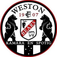 Weston Workers FC (Bears) logo, Weston Workers FC (Bears) contact details