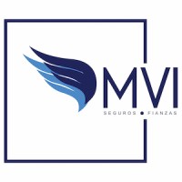 MVI SEGUROS & FIANZAS logo, MVI SEGUROS & FIANZAS contact details