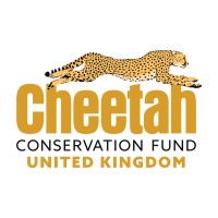 Cheetah Conservation Fund UK logo, Cheetah Conservation Fund UK contact details