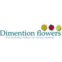 Dimention Flowers logo, Dimention Flowers contact details