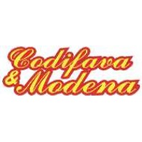 Codifava e Modena Srl logo, Codifava e Modena Srl contact details