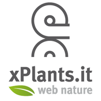 xPlants.it logo, xPlants.it contact details