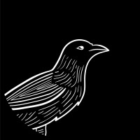 Black Bird Marketing logo, Black Bird Marketing contact details