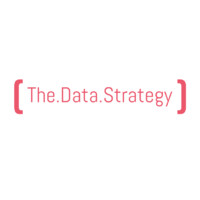 The Data Strategy logo, The Data Strategy contact details