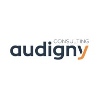 Audigny Consulting logo, Audigny Consulting contact details