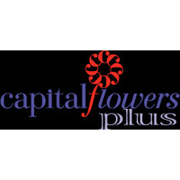 Capital Flowers logo, Capital Flowers contact details