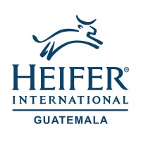 Heifer Project International Guatemala logo, Heifer Project International Guatemala contact details