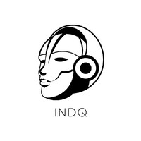 INDQ SA DE CV logo, INDQ SA DE CV contact details