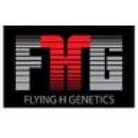 Flying H Genetics logo, Flying H Genetics contact details