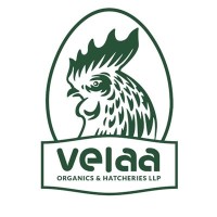 Velaa Organics and Hatcheries LLP logo, Velaa Organics and Hatcheries LLP contact details