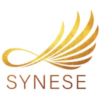 Synese logo, Synese contact details