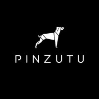 Pinzutu Films logo, Pinzutu Films contact details