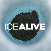 Ice Alive logo, Ice Alive contact details