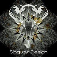 SingularDesign logo, SingularDesign contact details